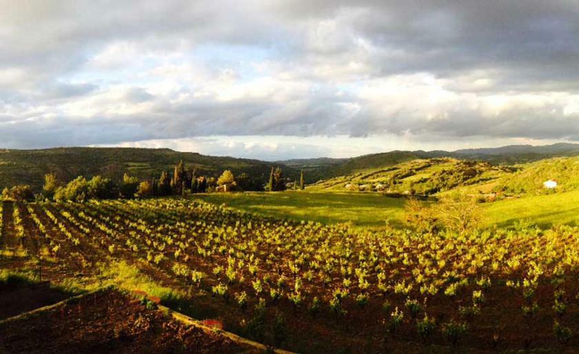 Gite Vigneron Du Domaine D'Alon Magrie Exterior photo